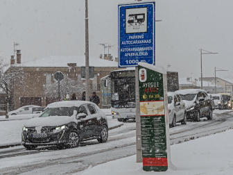Fotos de la nevada de este lunes en Tierra Estella. /