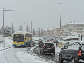 Fotos de la nevada de este lunes en Tierra Estella. /