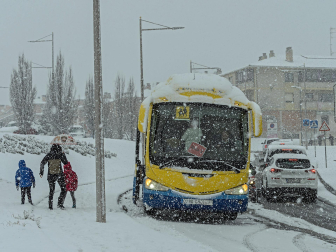 Fotos de la nevada de este lunes en Tierra Estella. /