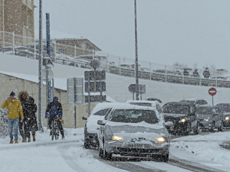 Fotos de la nevada de este lunes en Tierra Estella. /