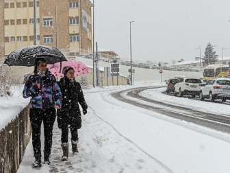 Fotos de la nevada de este lunes en Tierra Estella. /