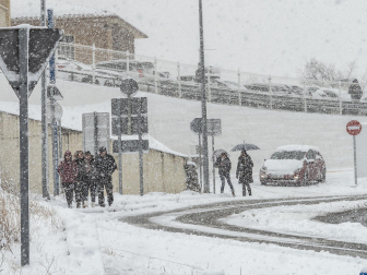 Fotos de la nevada de este lunes en Tierra Estella. /