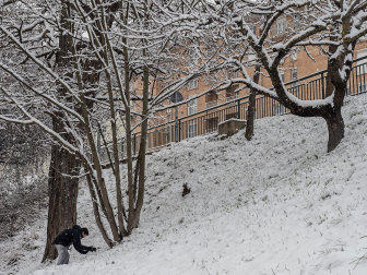 Fotos de la nevada de este lunes en Tierra Estella.