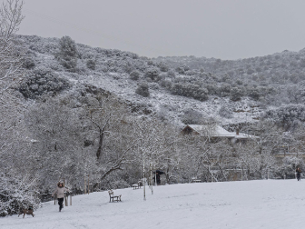 Fotos de la nevada de este lunes en Tierra Estella.