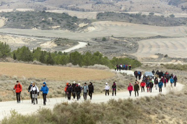 Peregrinos de la Ribera, durante la primera Javierada de 2023.