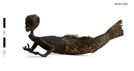 Momia de sirena de Japón en el Museo Horniman