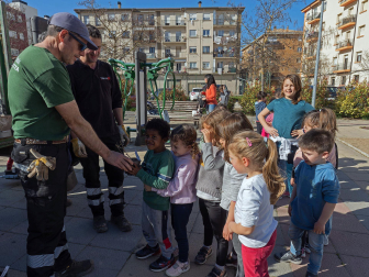 Día del árbol en Estella.