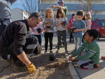 Día del árbol en Estella.