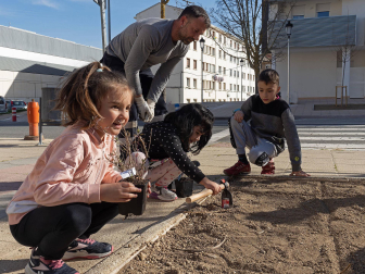 Día del árbol en Estella.