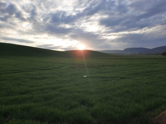 Primaveral amanecer.