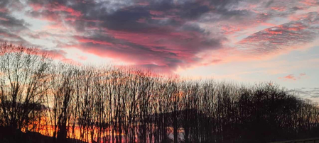 Atardecer. /
