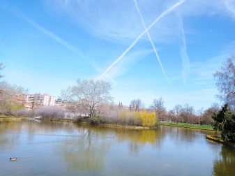 Primavera en el lago de Barañáin