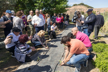 Presentación oficial de la Cofradía del Tomate Feo de Tudela.