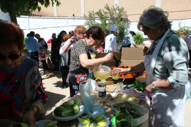 Fotos del concurso de guisos con verduras de la Asociación de Jubilados de Tudela.