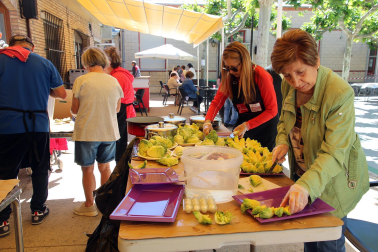 Fotos del concurso de guisos con verduras de la Asociación de Jubilados de Tudela.