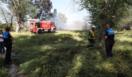 Vídeo con los trabajos de extinción en el incendio de la desembocadura del río Mediavilla en Tudela