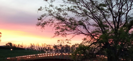 Amanecer en Artica.