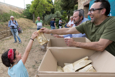 Fotos de la romería del Cristo de Tudela.