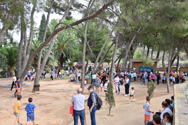 Fotos de la romería del Cristo de Tudela.