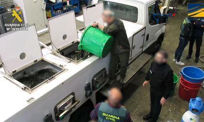 La Guardia Civil, en una operación conjunta con la Gendarmería Francesa, se ha incautado de 1,5 toneladas de angulas vivas. Se han realizado una treintena de registros simultáneos en domicilios, sedes de empresas y viveros clandestinos de España y Francia, y extendidos a Bélgica y Polonia, en los que se ha detenido a 27 personas por pertenencia a organización criminal, tráfico de especies protegidas, contrabando y blanqueo de capitales.