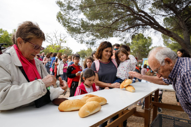 Romería a la ermita de Santa Quiteria 2023