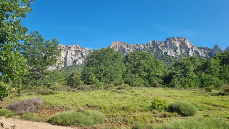 El Yoar. Torralba del Río.