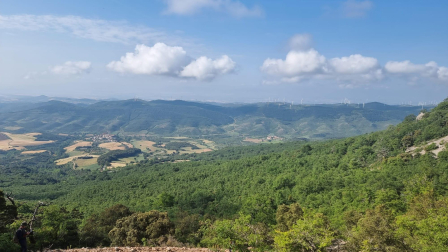 Torralba y Azuelo.