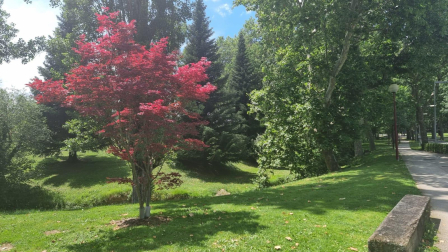 Primavera en el Campus de la Universidad de Navarra.