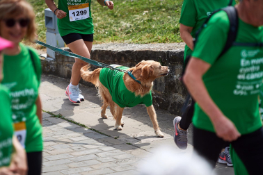 Fotos de la novena marcha solidaria contra el cáncer en Pamplona./