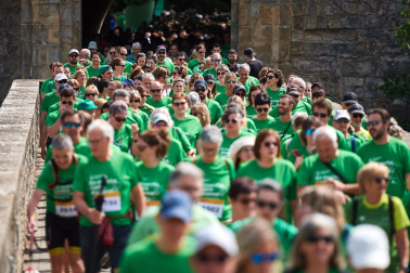 Fotos de la novena marcha solidaria contra el cáncer en Pamplona./