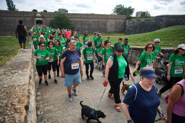 Fotos de la novena marcha solidaria contra el cáncer en Pamplona./