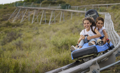 Bobsleigh