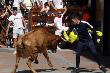 Fotos de las vaquillas en las fiestas de Mutilva./