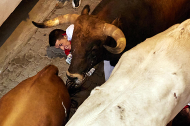 Primer encierro de San Fermín en el tramo del callejón de la Plaza de Toros