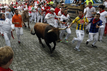 Primer encierro de San Fermín en el tramo del callejón de la Plaza de Toros