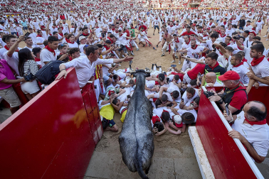 Vaquillas tras el tercer encierro.
