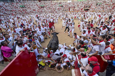 Vaquillas tras el tercer encierro.