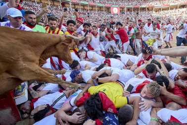 Vaquillas tras el tercer encierro.