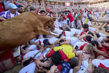 Vaquillas tras el tercer encierro.