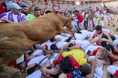 Vaquillas tras el tercer encierro.