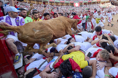 Vaquillas tras el tercer encierro.