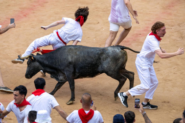 Vaquillas tras el tercer encierro.