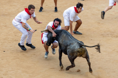 Vaquillas tras el tercer encierro.