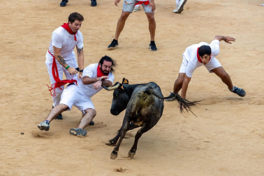 Vaquillas tras el tercer encierro.