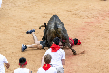 Vaquillas tras el tercer encierro.