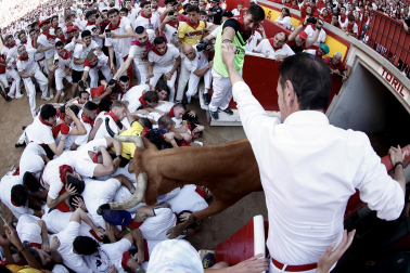 Vaquillas tras el tercer encierro.