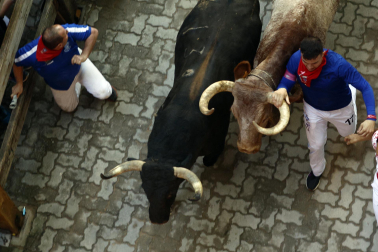 Cuarto encierro de San Fermín 2023.