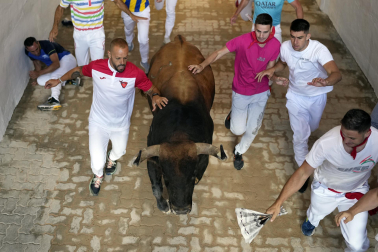 Callejón de entrada a la Plaza de Toros, cuarto encierro.