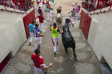 Entrada a la Plaza de Toros, cuarto encierro.