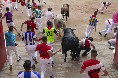 Entrada a la Plaza de Toros, cuarto encierro.